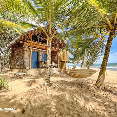 The Alpha Monkey Hotel & Tree House Tangalle Bagian luar foto