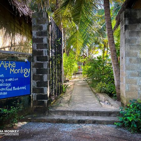 The Alpha Monkey Hotel & Tree House Tangalle Bagian luar foto