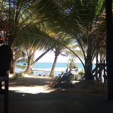 The Alpha Monkey Hotel & Tree House Tangalle Bagian luar foto