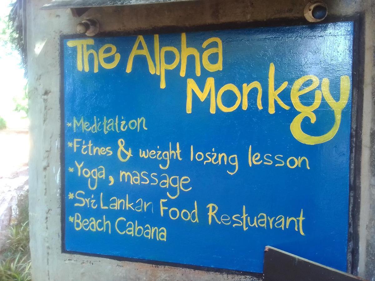 The Alpha Monkey Hotel & Tree House Tangalle Bagian luar foto