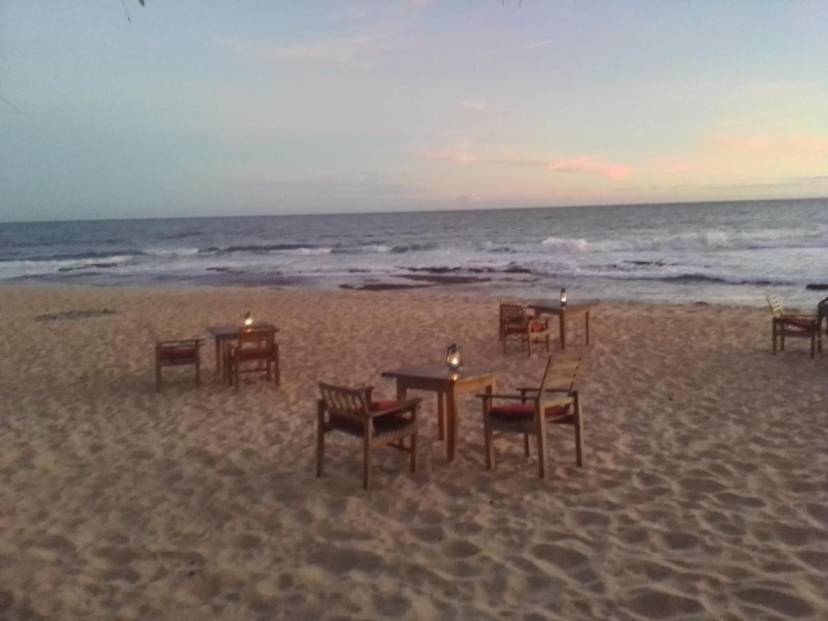 The Alpha Monkey Hotel & Tree House Tangalle Bagian luar foto