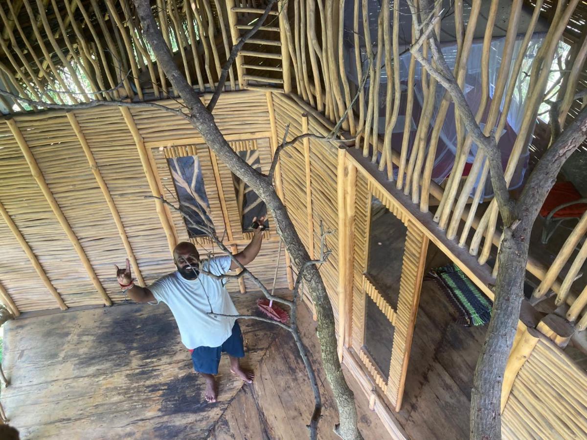 The Alpha Monkey Hotel & Tree House Tangalle Bagian luar foto