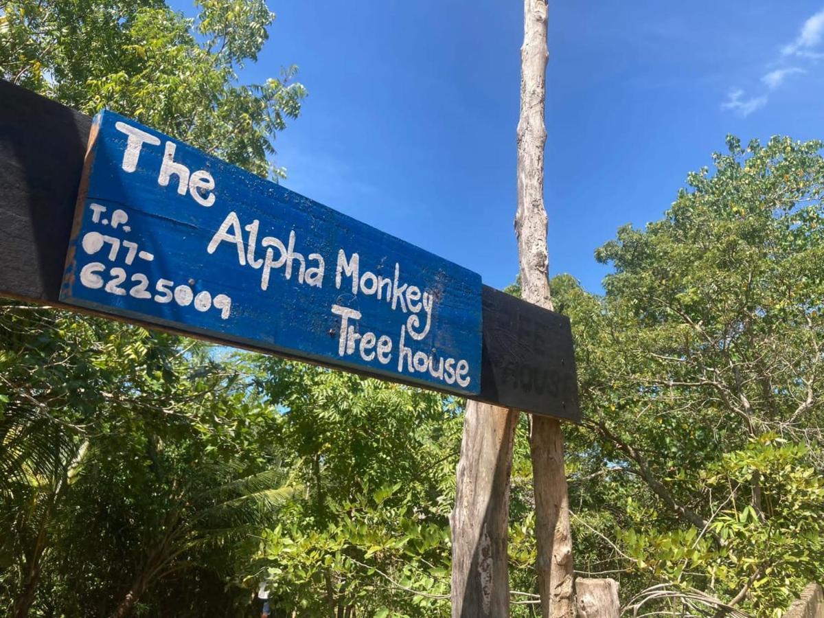 The Alpha Monkey Hotel & Tree House Tangalle Bagian luar foto