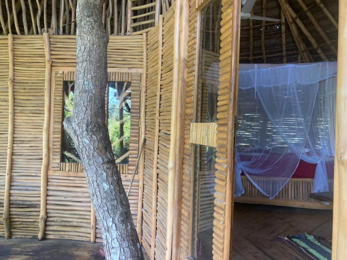 The Alpha Monkey Hotel & Tree House Tangalle Bagian luar foto