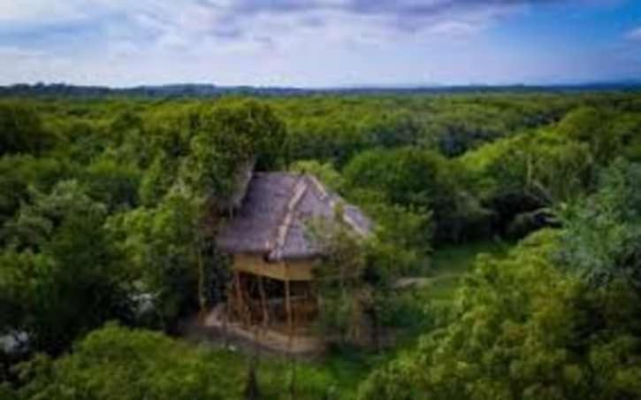 The Alpha Monkey Hotel & Tree House Tangalle Bagian luar foto