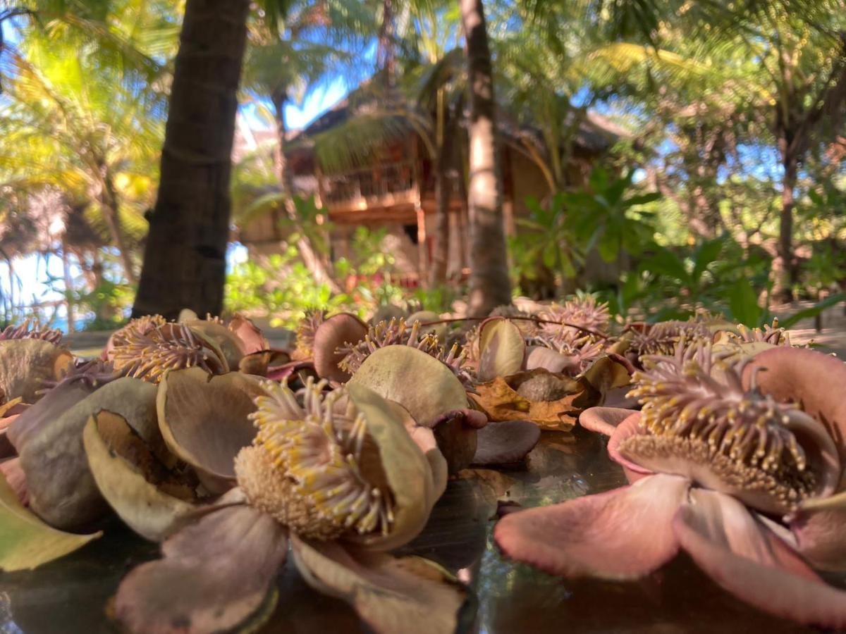 The Alpha Monkey Hotel & Tree House Tangalle Bagian luar foto