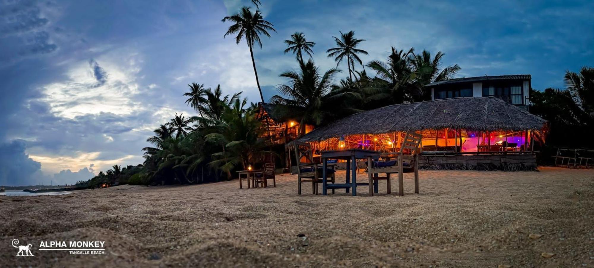 The Alpha Monkey Hotel & Tree House Tangalle Bagian luar foto