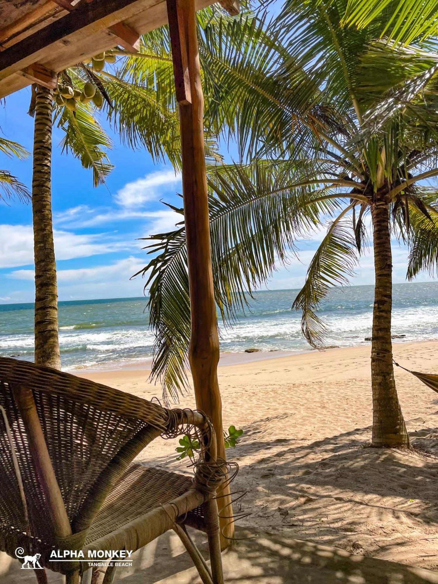 The Alpha Monkey Hotel & Tree House Tangalle Bagian luar foto