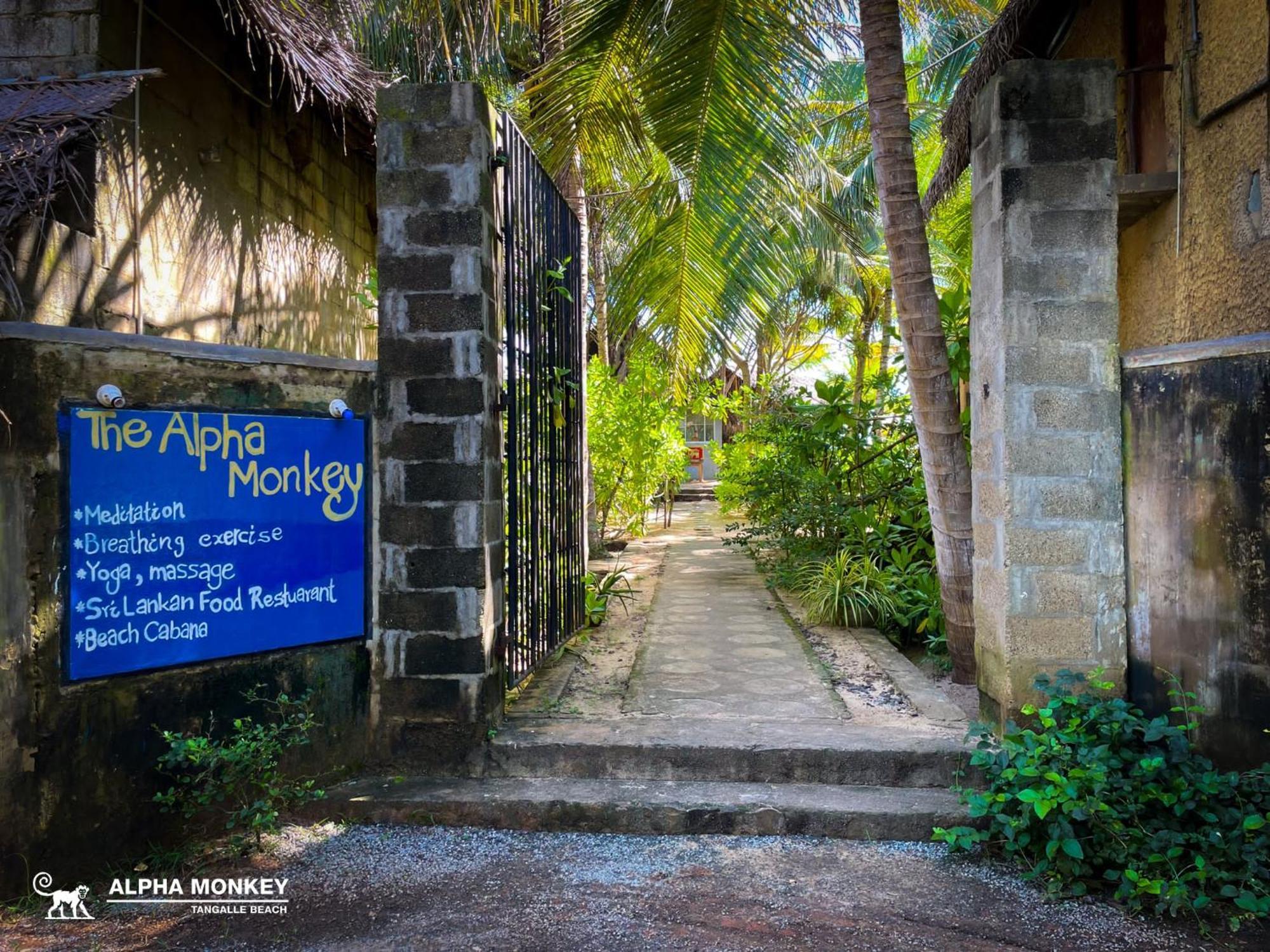 The Alpha Monkey Hotel & Tree House Tangalle Bagian luar foto