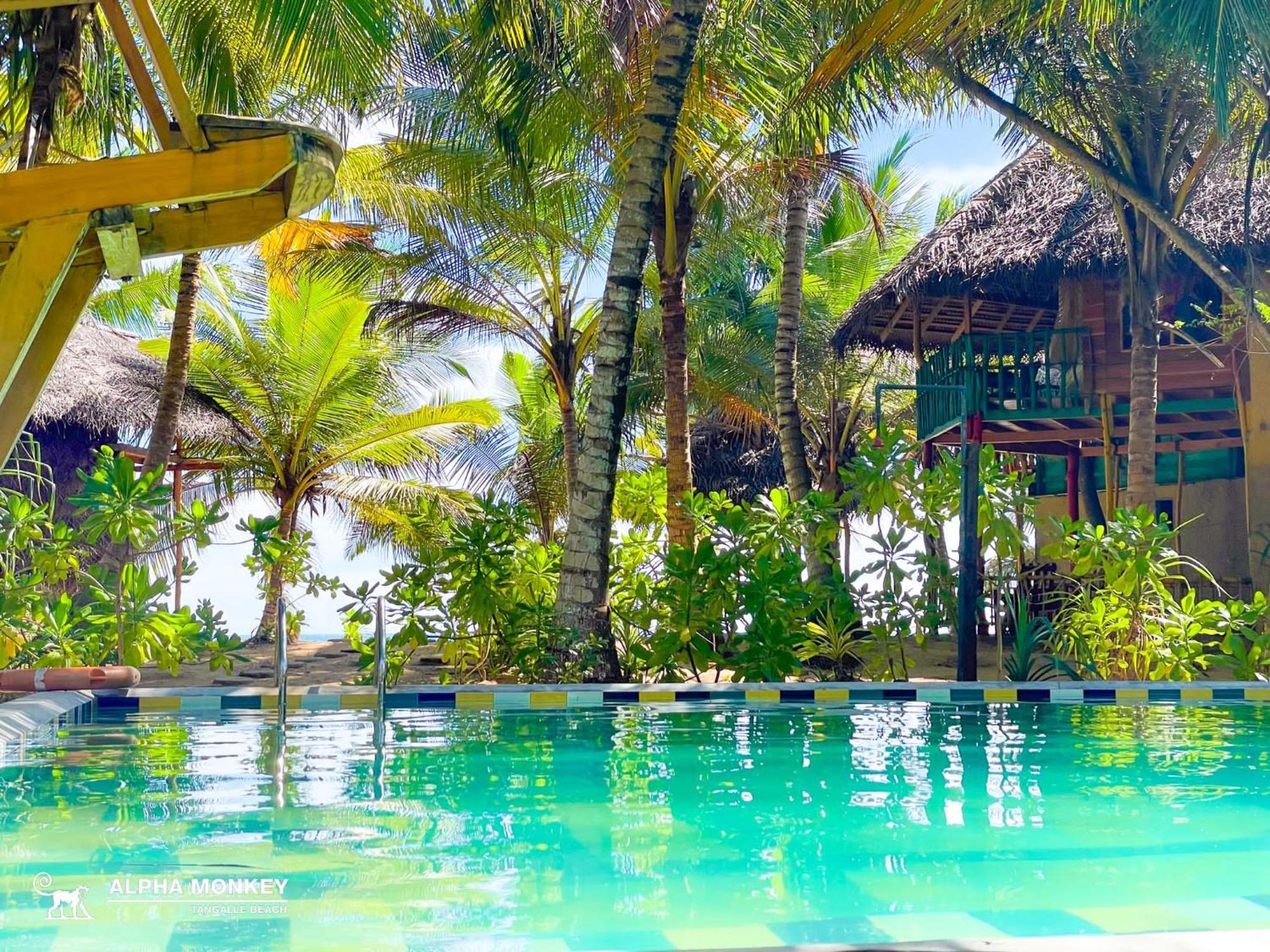 The Alpha Monkey Hotel & Tree House Tangalle Bagian luar foto