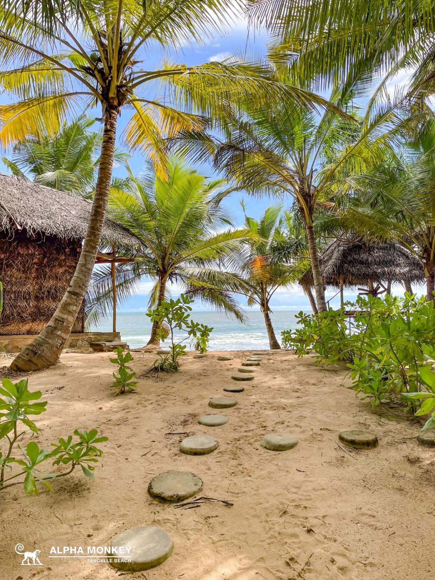 The Alpha Monkey Hotel & Tree House Tangalle Bagian luar foto