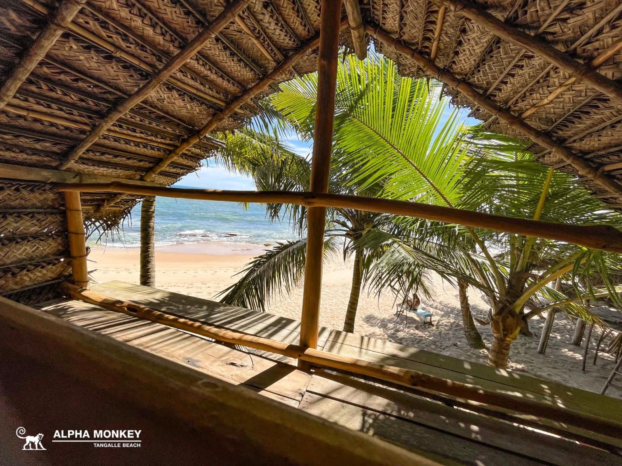 The Alpha Monkey Hotel & Tree House Tangalle Bagian luar foto