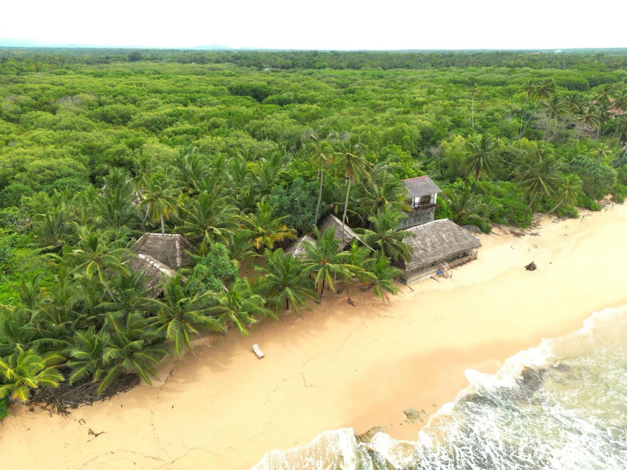 The Alpha Monkey Hotel & Tree House Tangalle Bagian luar foto