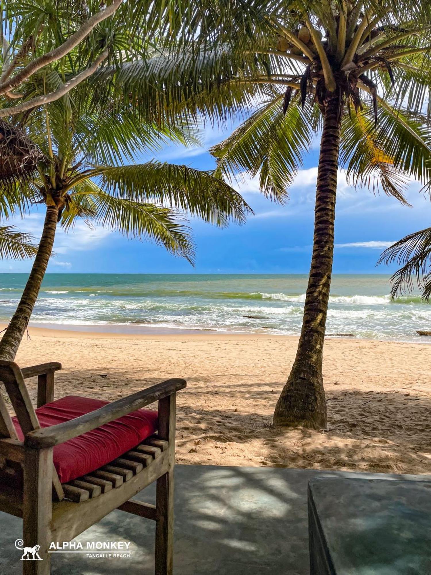 The Alpha Monkey Hotel & Tree House Tangalle Ruang foto