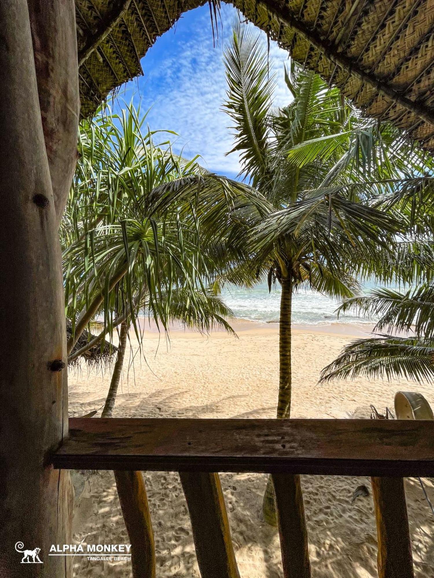 The Alpha Monkey Hotel & Tree House Tangalle Ruang foto