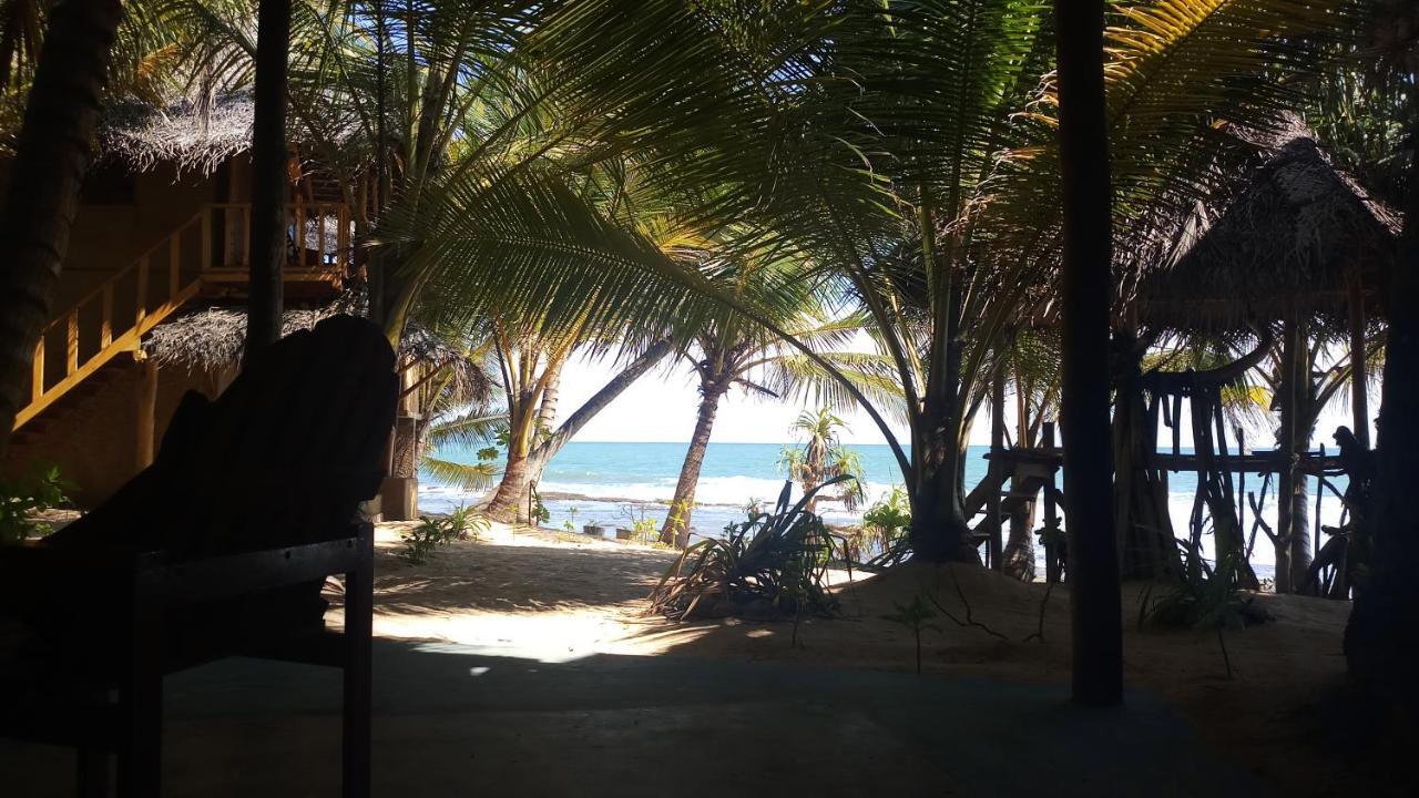 The Alpha Monkey Hotel & Tree House Tangalle Bagian luar foto