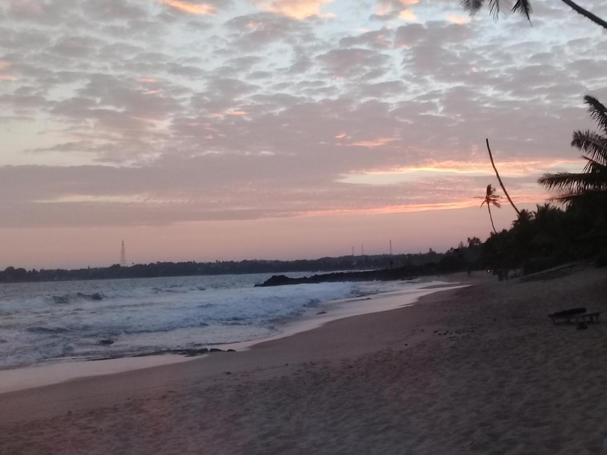 The Alpha Monkey Hotel & Tree House Tangalle Bagian luar foto