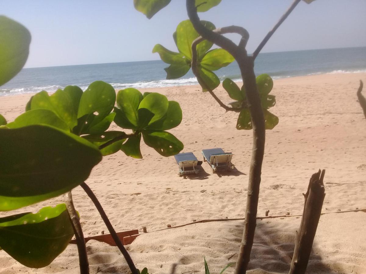 The Alpha Monkey Hotel & Tree House Tangalle Bagian luar foto